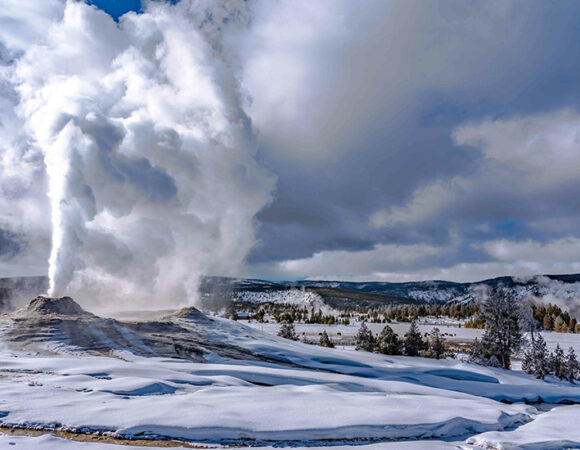 Yellowstone Winter Delights - February 1-5, 2026